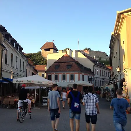 דירה Orchidea *