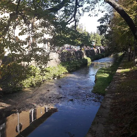 Appartamento Orchidea *