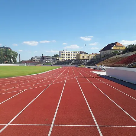 Appartamento Orchidea *