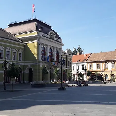Orchidea * Eger