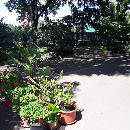 Orchidea Lejlighed *