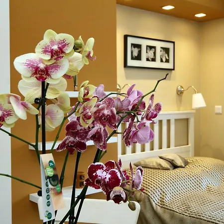 Lejlighed Orchidea